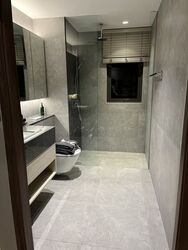 Orchard Sophia (D9), Apartment #451513441